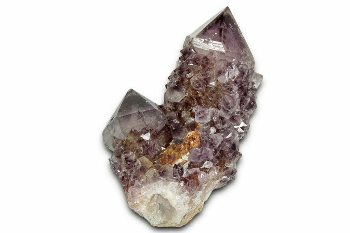Deep-Purple Cactus Amethyst Crystal Cluster - South Africa #337631